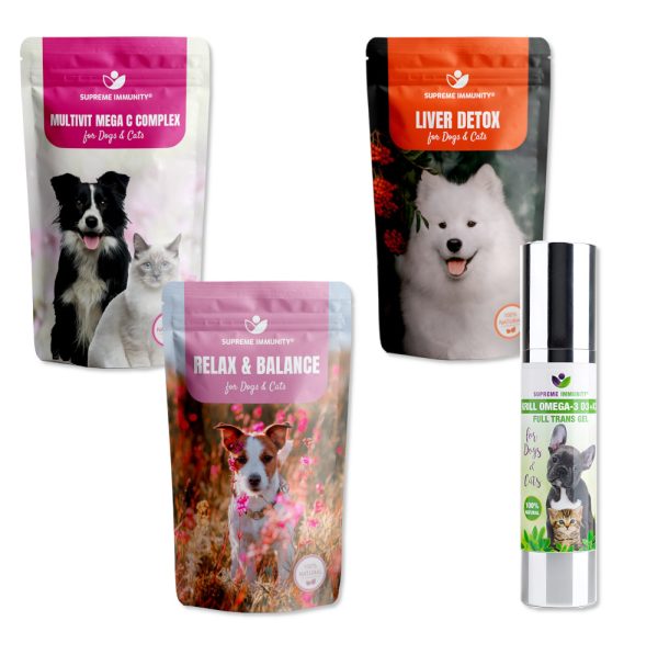 Epilepsy and Seizure Support: Natural supplement for dogs