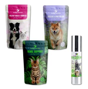 Senior animal Health