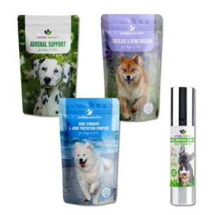 dog joint and muscle disorders