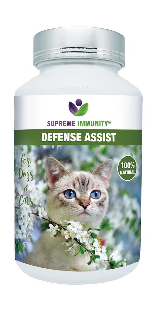 DEFENSE ASSIST