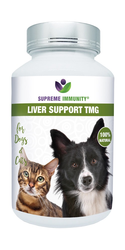 LIVER SUPPORT