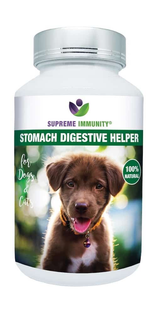 Stomach Digestive Helper