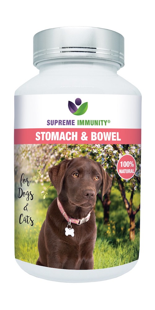 Stomach & Bowel