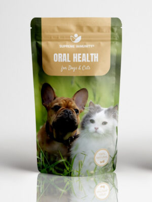 Oral Health for Dogs