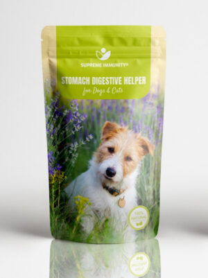 Stomach Digestive Helper