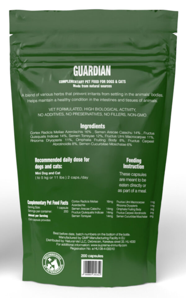 Guardian - Image 2